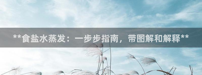 威九国际的金融服务有哪些