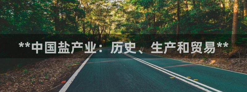 威九国际ppt免费吗