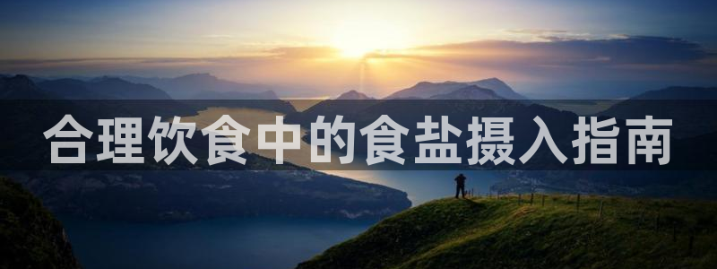 威九国际top