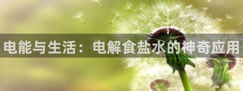 威九国际网站进入客服中心怎么进：电能与生活：电解食盐水的神奇